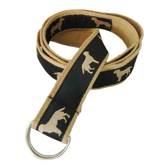 Lab Belt